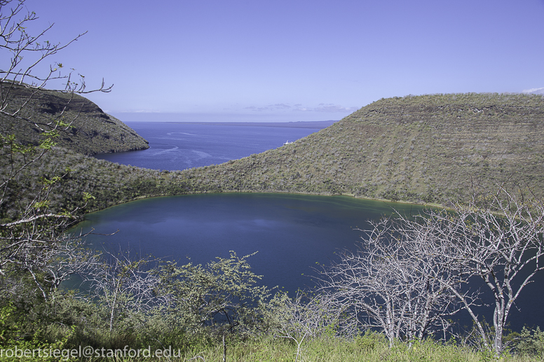 galapagos